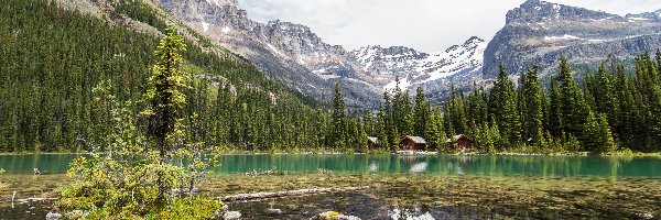 Park Narodowy Yoho, Kolumbia Brytyjska, Domki, Świerki, Góry Canadian Rockies, Jezioro Lake O’Hara, Kamienie, Kanada