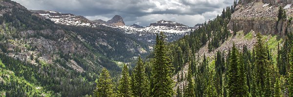 Stany Zjednoczone, Caribou-Targhee National Forest, Świerki, Las, Góry, Chmury, Dolina