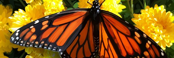 Kwiaty, Motyl monarcha, Obraz