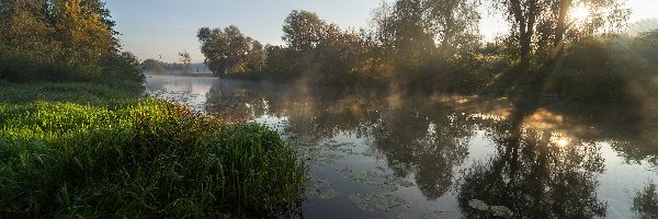 Rzeka, Trawa, Drzewa, Promienie słońca, Rośliny