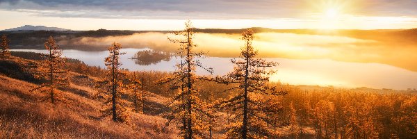 Wzgórza, Jezioro, Drzewa, Mgła, Promienie słońca