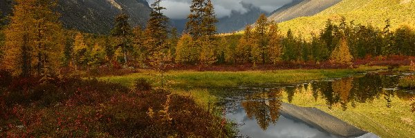 Odbicie, Drzewa, Rosja, Obwód magadański, Jezioro Jack London, Jesień, Kołyma, Góry