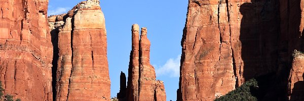 Skały, Zarośla, Kanion, Arizona, Sedona