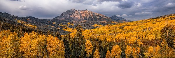 Niebo, Góry East Beckwith Mountain, Stany Zjednoczone, Stan Kolorado, Drzewa, Chmury, Hrabstwo Gunnison, Jesień
