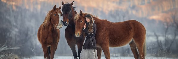 Konie, Śnieg, Dziewczyna, Trzy