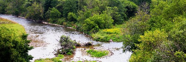 Kanada, Drzewa, Las, Rzeki, Zakole, Ontario, Park