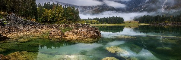 Drzewa, Alpy Julijskie, Skały, Włochy, Góry, Jezioro Fusine Lake