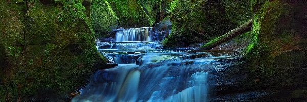 Rzeka Carnock Burn, Wąwóz Finnich Glen, Szkocja