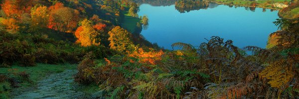 Jezioro, Anglia, Las, Góry