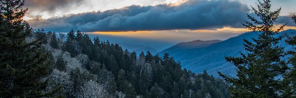 Chmury, Park Narodowy Great Smoky Mountains, Góry, Las, Stan Karolina Północna, Stany Zjednoczone