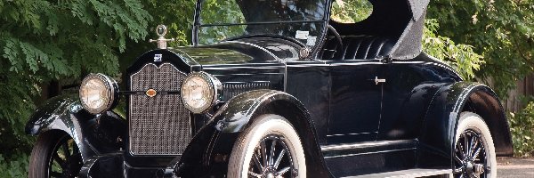 1924 Rok, Buick