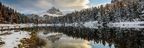Drzewa, Las, Góry Dolomity, Jezioro Antorno Lake, Zima, Włochy, Prowincja Belluno, Masyw Tre Cime di Lavaredo, Mostek