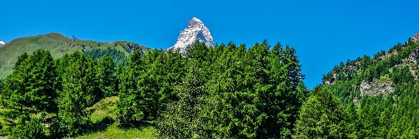 Szwajcaria, Łąka, Szopy, Las, Góry, Matterhorn, Szczyt