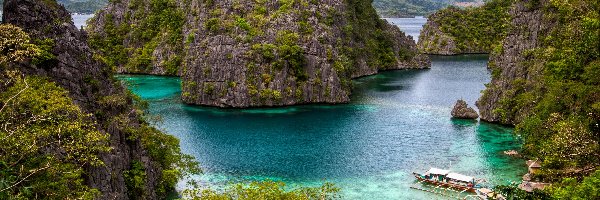 Morze, Skały, Zarośnięte, Palawan, Filipiny