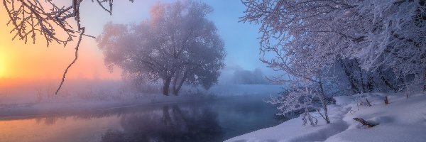 Mgła, Rosja, Zima, Drzewa, Miasto Chimki, Rzeka Istra