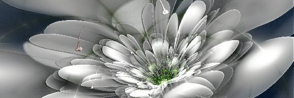 Kwiat, Grafika, 3D, Biały