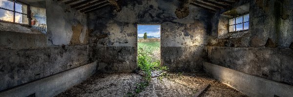Stary, Drzwi, Dom, Zaniedbany