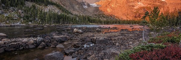 Drzewa, Szczyt Notchtop, Stany Zjednoczone, Stan Kolorado, Park Narodowy Gór Skalistych, Rośliny, Kamienie, Góry, Jezioro Helene Lake