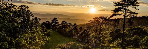 Park Narodowy Huai Nam Dang, Drzewa, Zachód słońca, Tajlandia