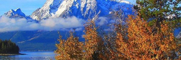 Jezioro Jackson Lake, Park Narodowy Grand Teton, Góry, Stan Wyoming, Stany Zjednoczone, Drzewa, Szczyt Mount Moran
