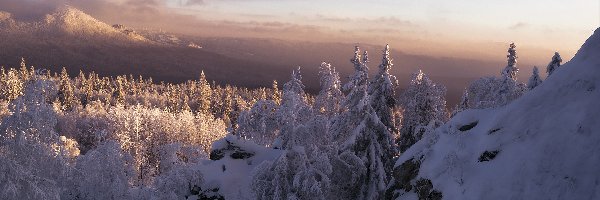 Rosja, Drzewa, Zima, Skały, Góry, Obwód czelabiński, Park Narodowy Taganaj