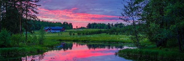 Drzewa, Gmina Arvika, Odbicie, Niebo, Rzeka, Dom, Różowe, Szwecja