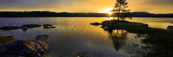 Jezioro, Drzewo, Kamienie, Słońca, Zachód