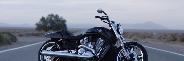 Harley Davidson V-Rod Muscle