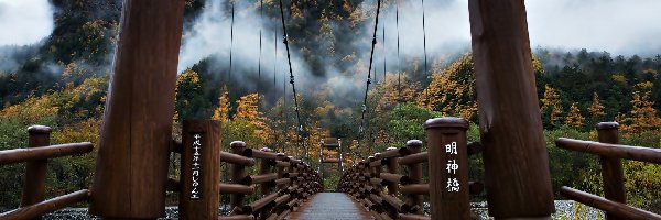 Most, Jesień, Góry, Mgła, Drzewa