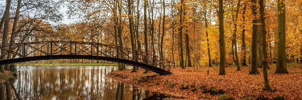 Posiadłość Huis Voorstonden, Prowincja Geldria, Mostek, Jesień, Gmina Brummen, Park, Staw, Holandia