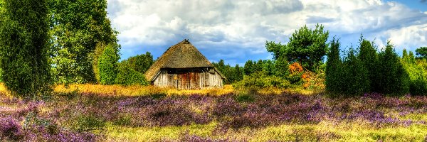 Niemcy, Pustać Lüneburska, Lüneburg Heath, Dom, Wrzosowisko