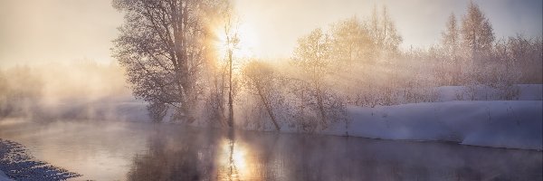 Zima, Rzeka, Mgła, Promienie słońca, Drzewa