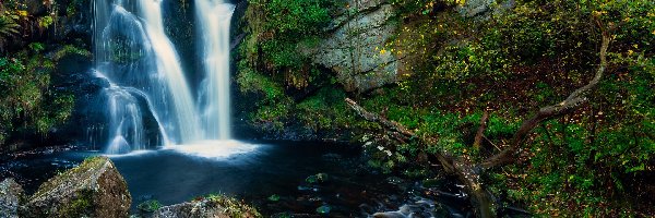 Skały, Valley Of Desolation, Wodospad Posforth Gill, Hrabstwo West Yorkshire, Anglia, Drzewa, Las