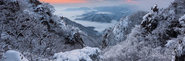 Zima, Wschód Słońca, Korea Południowa, Góra Daedunsan, Park Prowincjonalny Daedunsan, Mgła, Góry, Prowincja Jeolla Północna, Drzewa