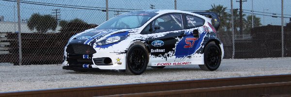 Race Car, Ford Fiesta ST