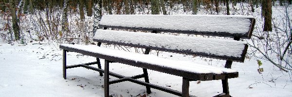 Zima, Las, Ławeczka