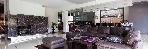 Kominek, Sofa, Skórzana, Salon