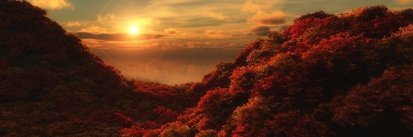 Lasy, Wzgórza, Jesień, Zachód słońca