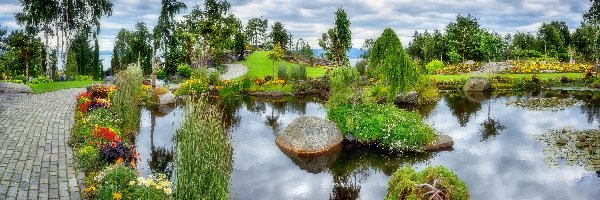 Ogród, Zieleń, Staw, Park