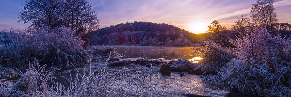 Wschód słońca, Rośliny, Oszronione, Rzeka Naab, Przymrozek, Niemcy, Bawaria, Drzewa, Powiat Schwandorf