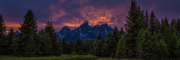 Stany Zjednoczone, Góry Teton Range, Drzewa, Rzeka Snake River, Park Narodowy Grand Teton, Stan Wyoming, Zachód słońca