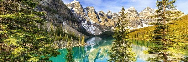 Drzewa, Park Narodowy Banff, Jezioro Moraine, Odbicie, Alberta, Kanada