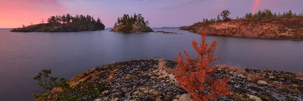 Rośliny, Wysepki, Rosja, Karelia, Drzewa, Tęcza, Wschód słońca, Jezioro Ładoga