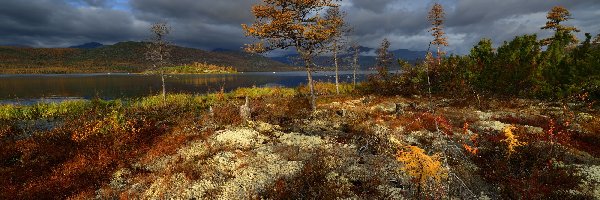 Rośliny, Góry, Rosja, Obwód magadański, Drzewa, Chmury, Kołyma, Jezioro Jack London