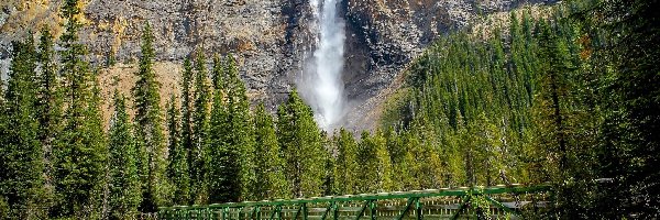 Kanada, Park Narodowy Yoho, Most, Wodospad Takakkaw Falls, Góry, Prowincja Kolumbia Brytyjska, Rzeka Takakkaw