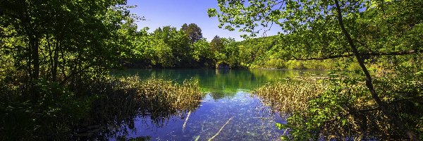 Zieleń, Park Narodowy Jezior Plitwickich, Niebo, Krzewy, Jezioro, Trawa, Drzewa, Chorwacja