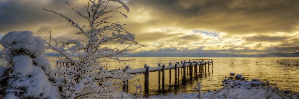 Wschód słońca, Zima, Pomost, Drzewa, Jezioro Tahoe, Stany Zjednoczone