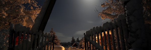 Brama, Księżyc, Drzewa, Ogrodzenie, Noc, Zima