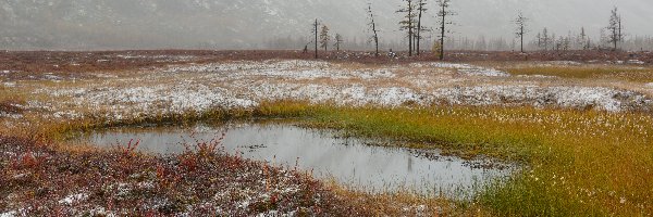 Kołyma, Śnieg, Rosja, Drzewa, Roślinność, Woda, Krzewy, Góry Kołymskie, Trawa, Obwód magadański