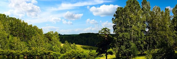 Jezioro, Niebo, Błękitne, Chmury, Las